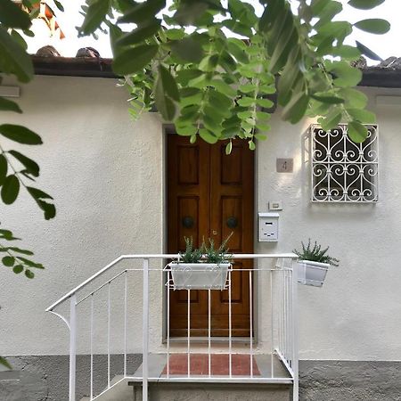 Rustico Rosmarino Castiglion Fiorentino Exterior foto