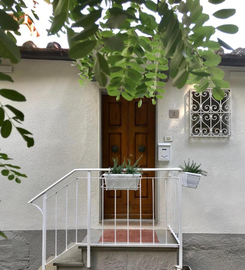 Rustico Rosmarino Castiglion Fiorentino Exterior foto